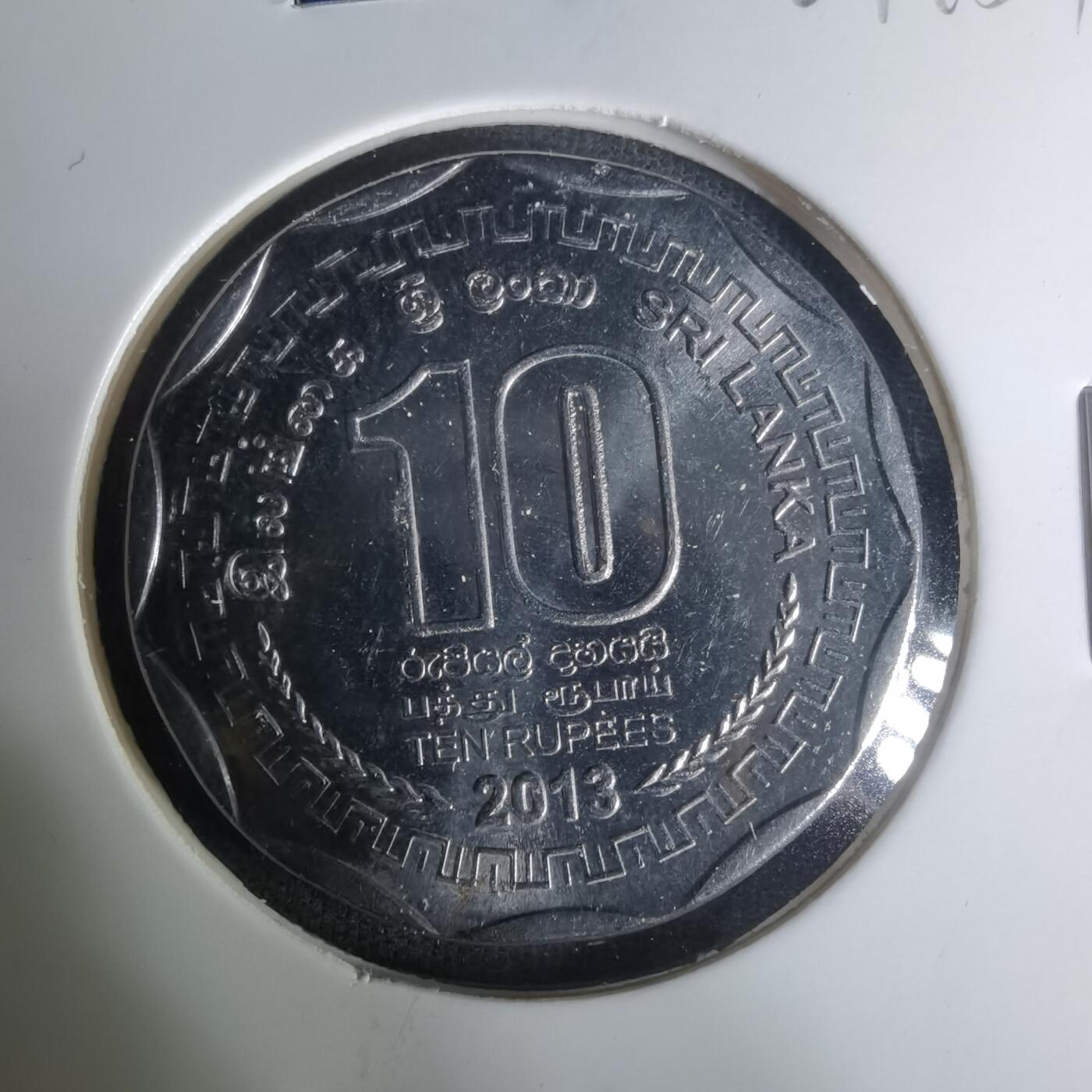 沼泽如烟--第1004场