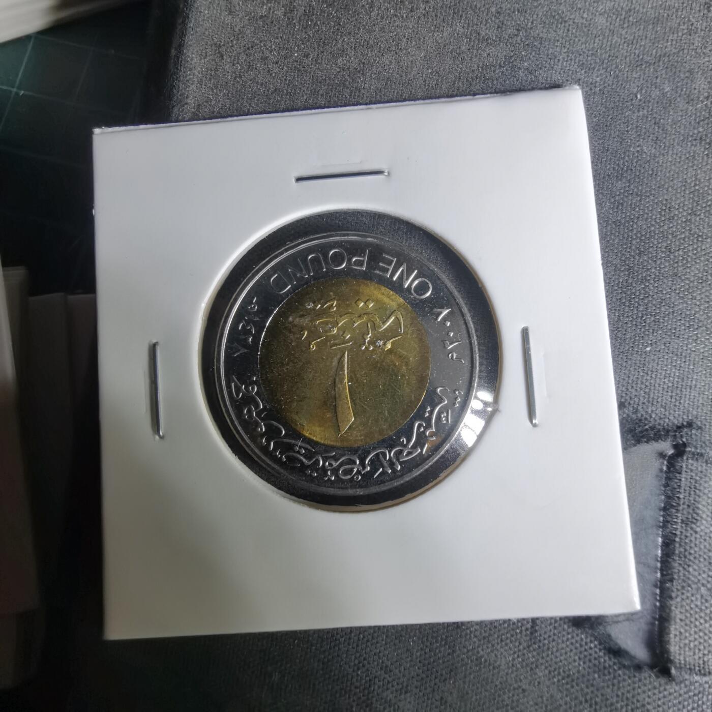 沼泽如烟--第1004场 埃及2007年1磅