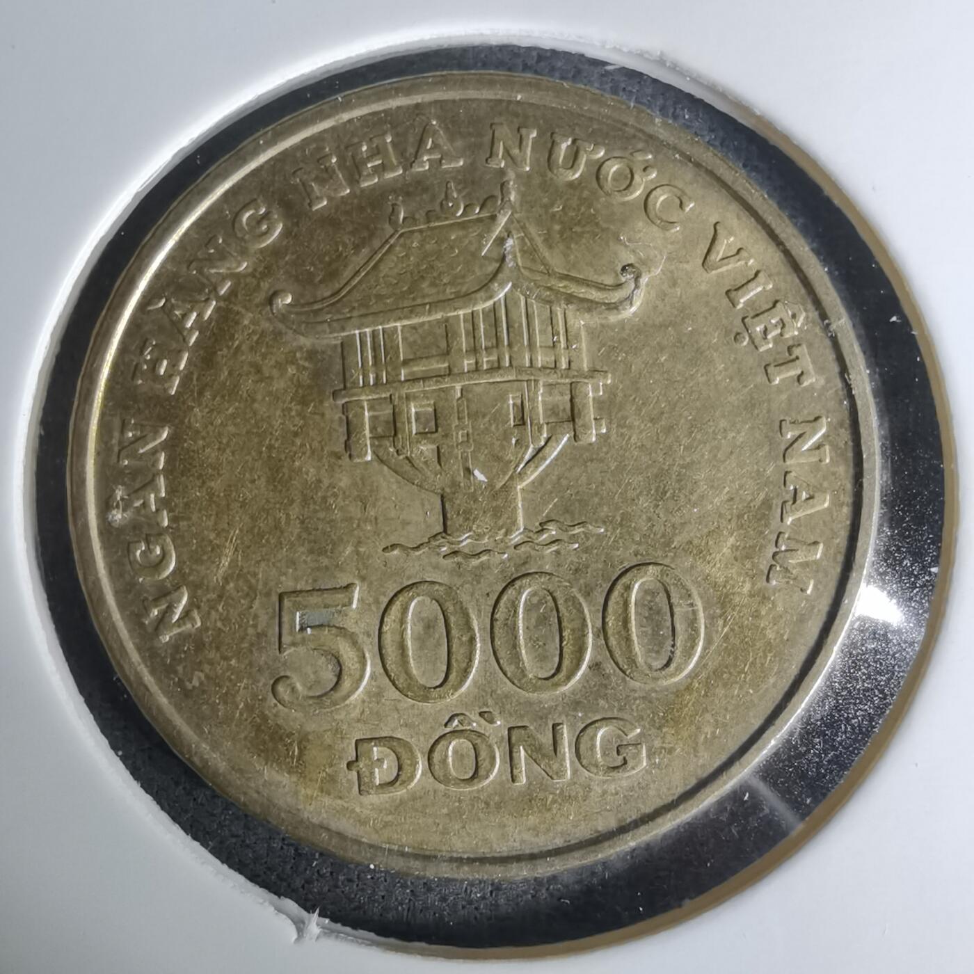 沼泽如烟--第1004场