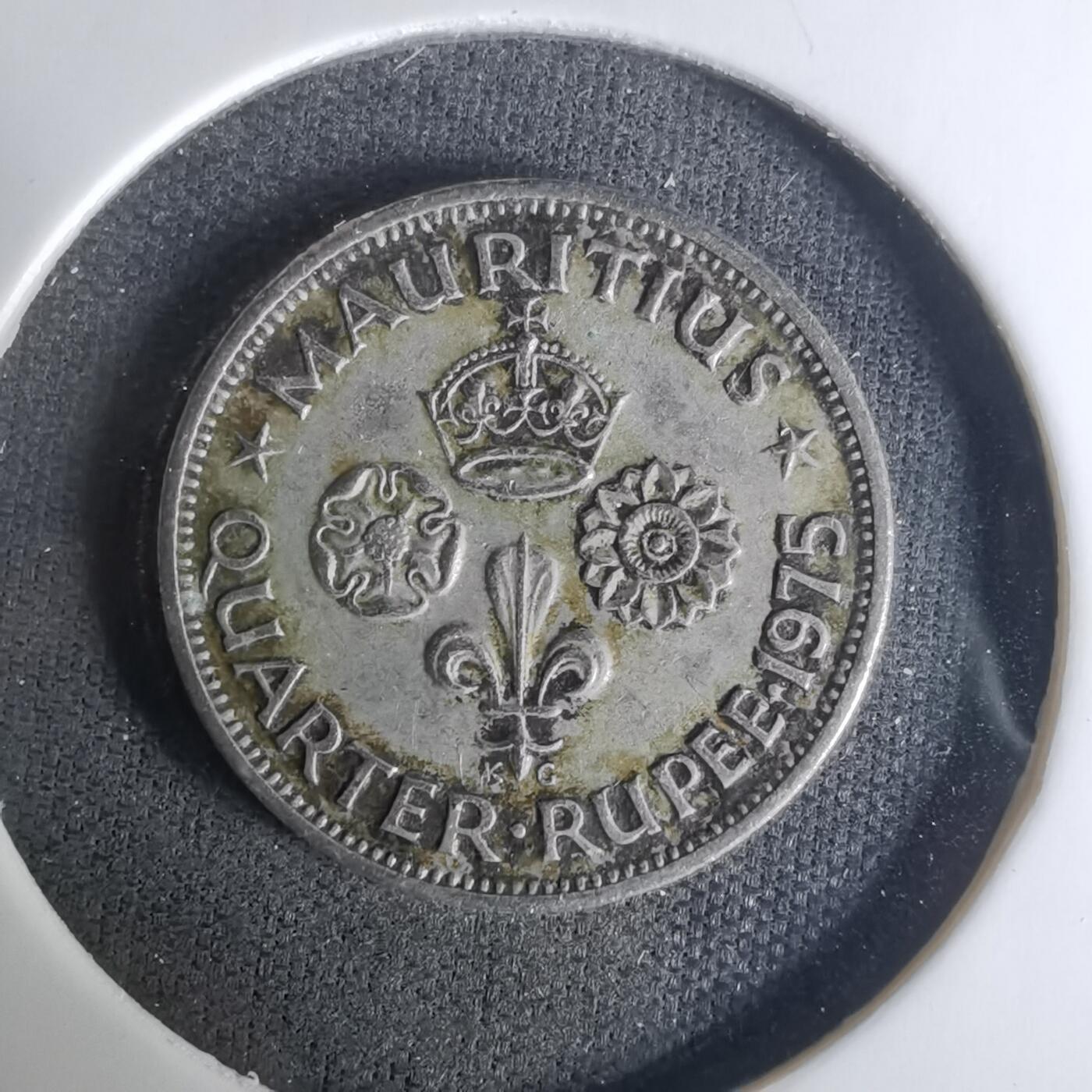 沼泽如烟--第1004场