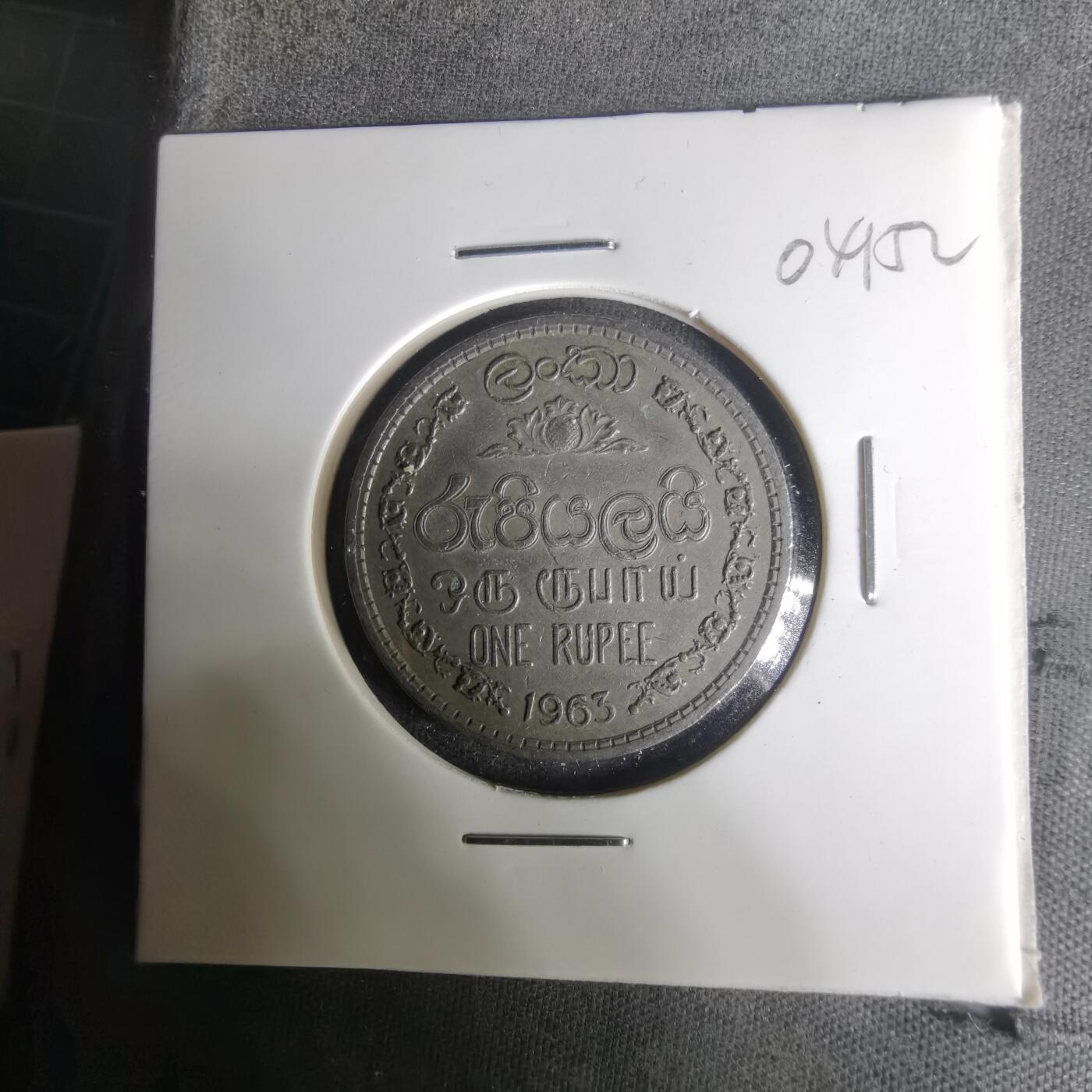 沼泽如烟--第1004场