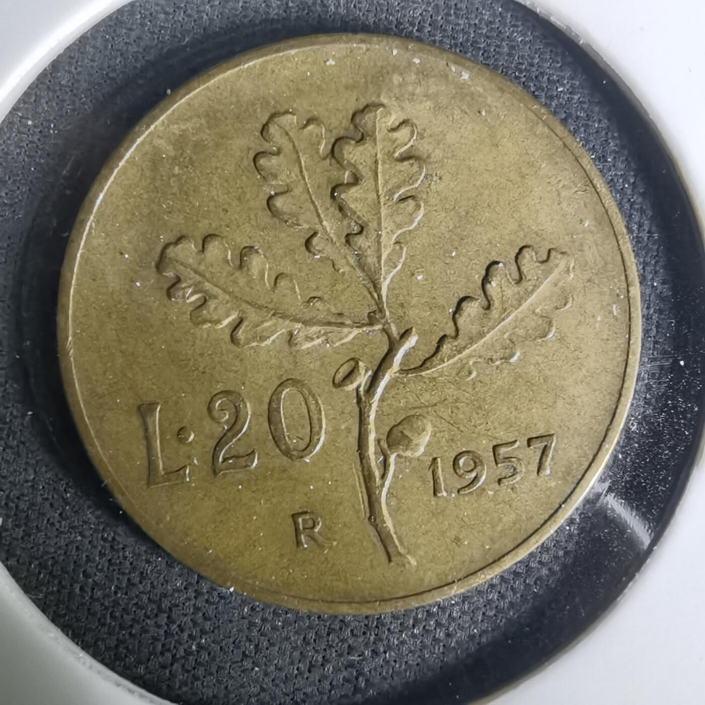 沼泽如烟--第1004场