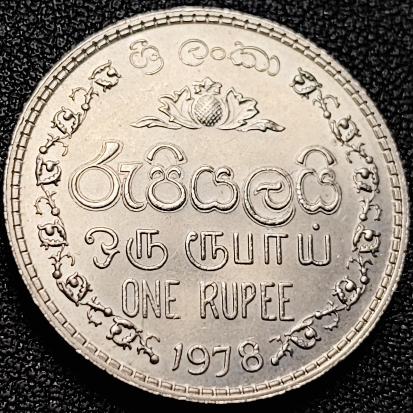 泉币菌-第200场- 新年快乐 新年第8场 本场拍品多 请提前出价（正月十五统一发货） @