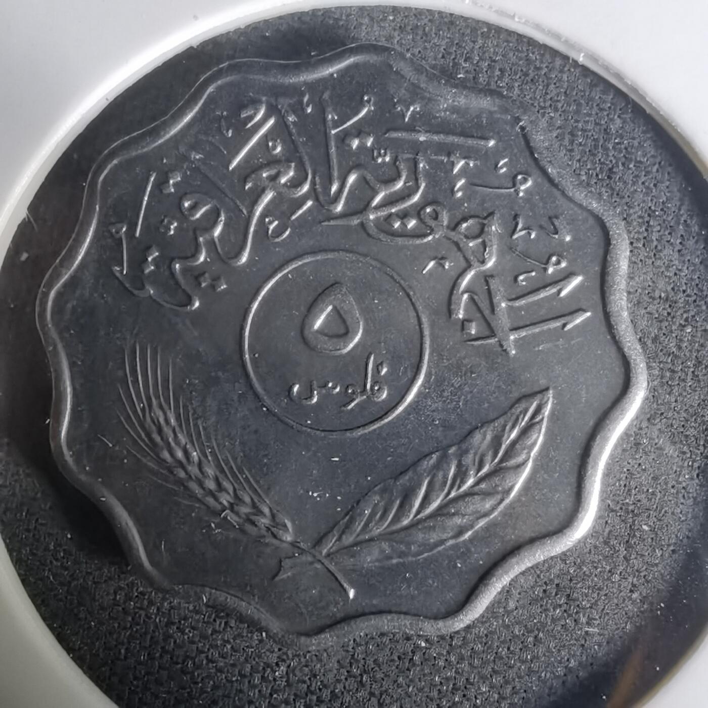 沼泽如烟--第1004场 伊拉克