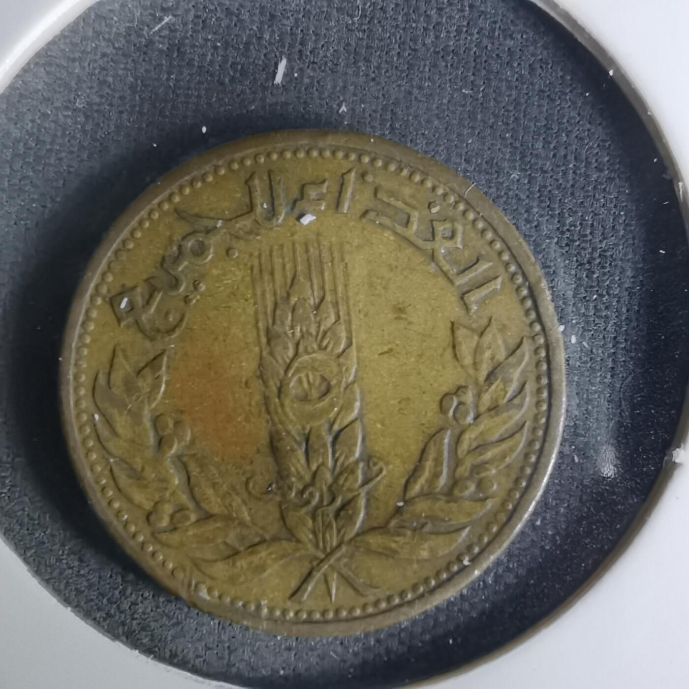 沼泽如烟--第1004场 叙利亚