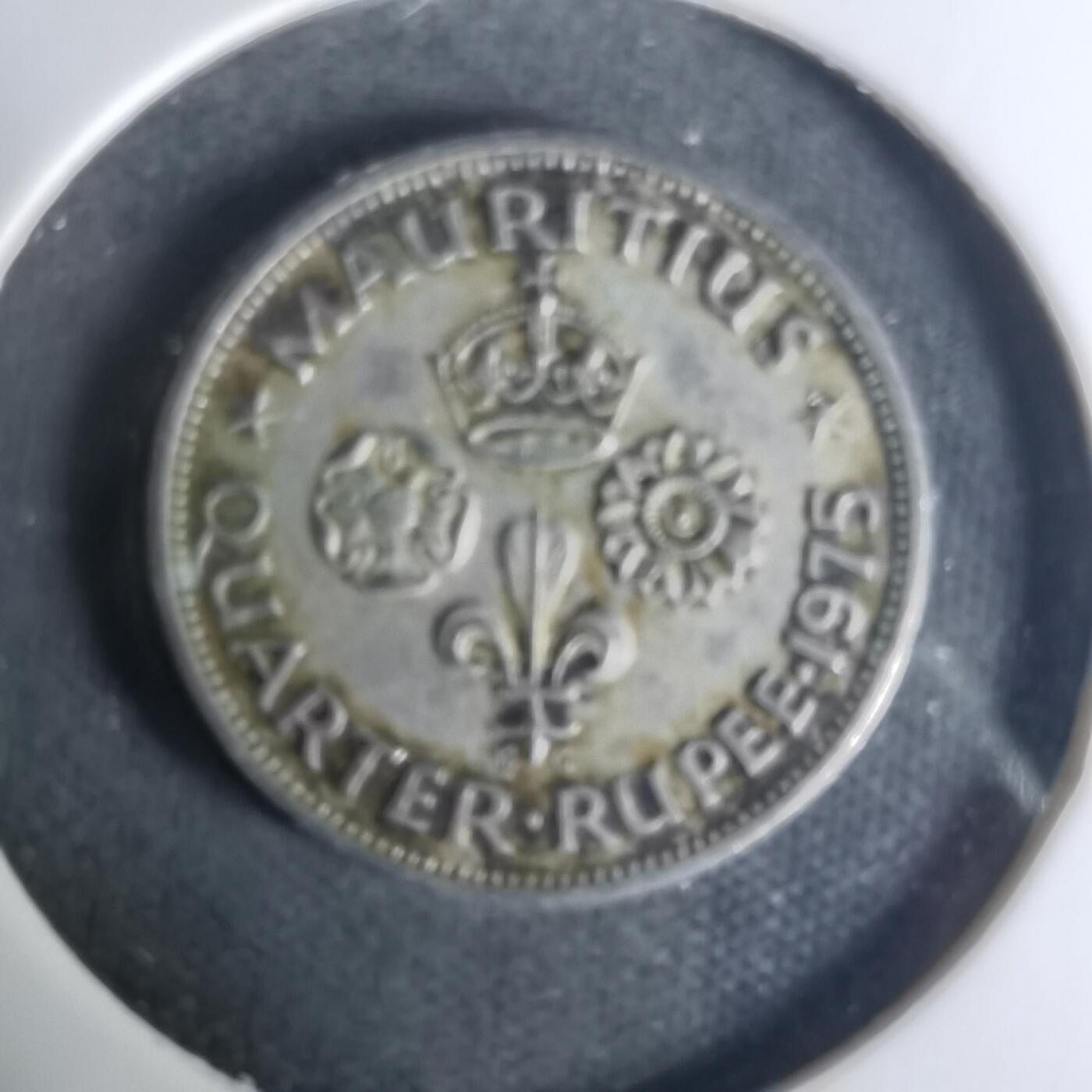 沼泽如烟--第1004场