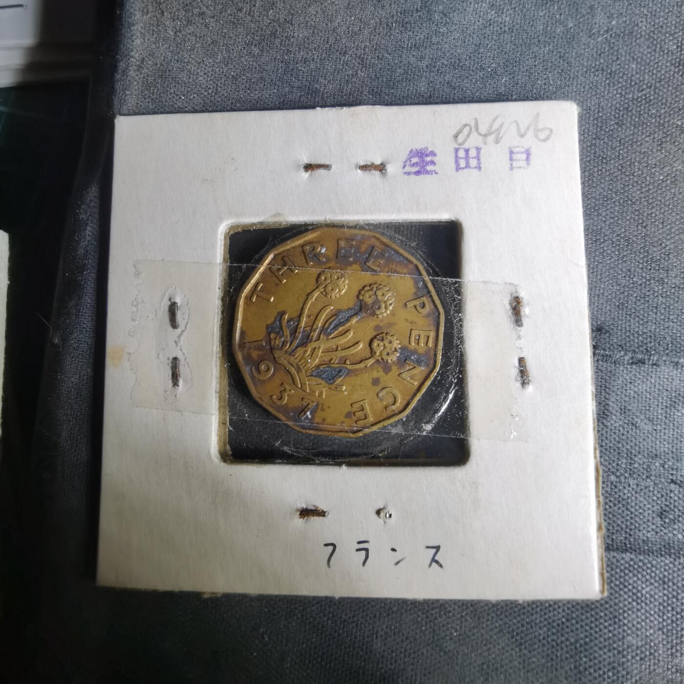 沼泽如烟--第1004场