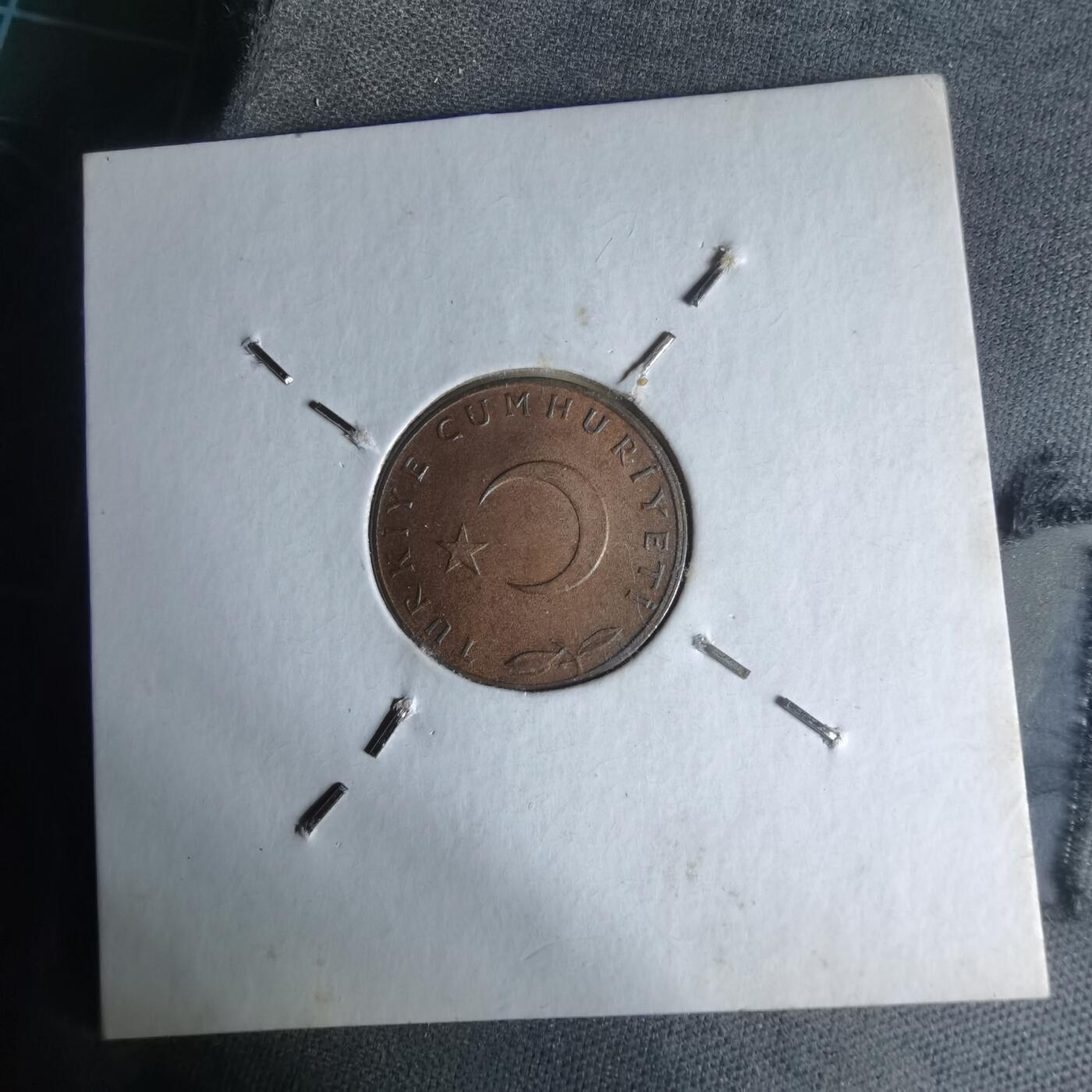 沼泽如烟--第1007场