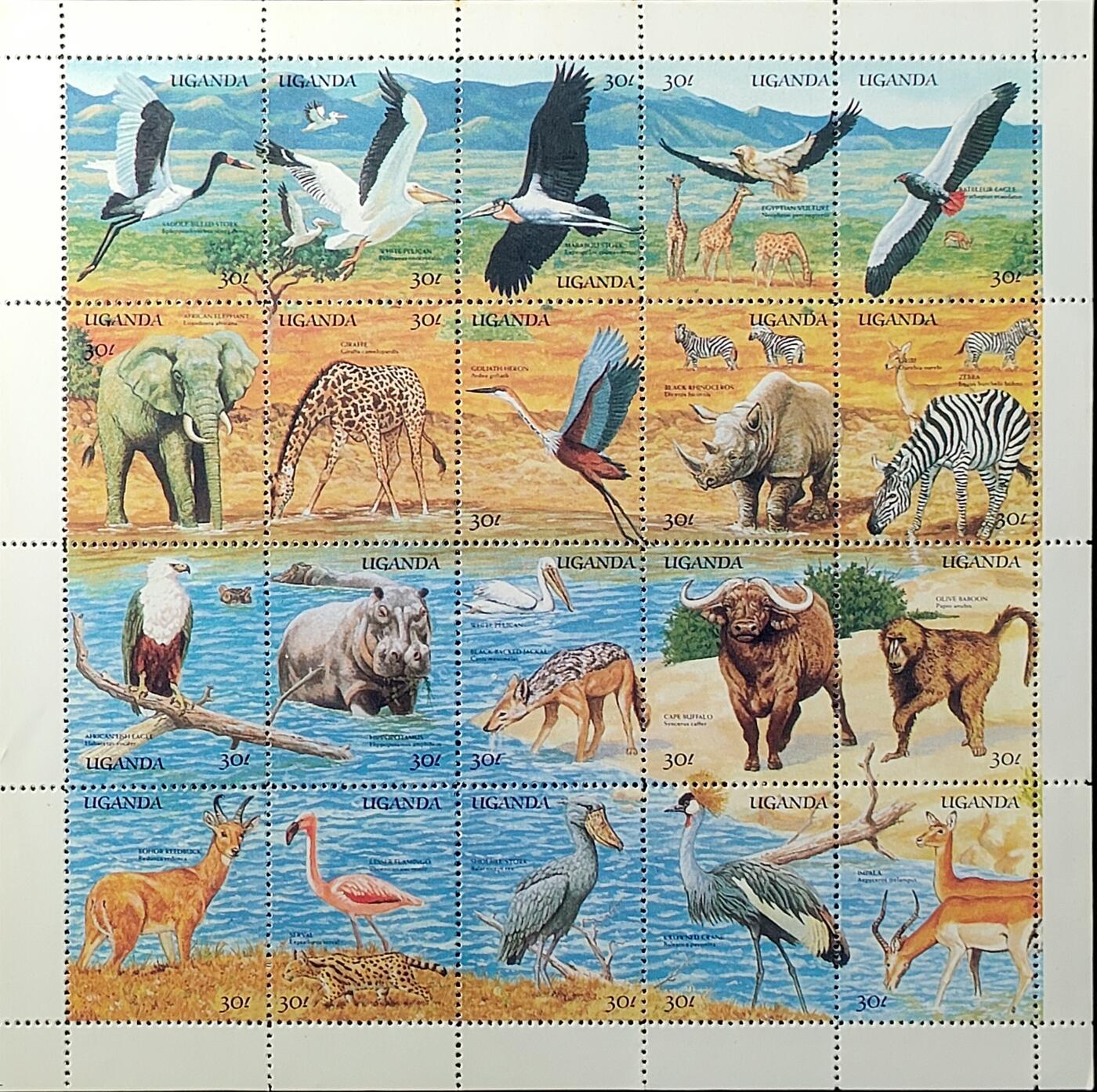 ↓君缘收藏749期☞钱币邮品↓无佣金、可寄存、满30元包邮 