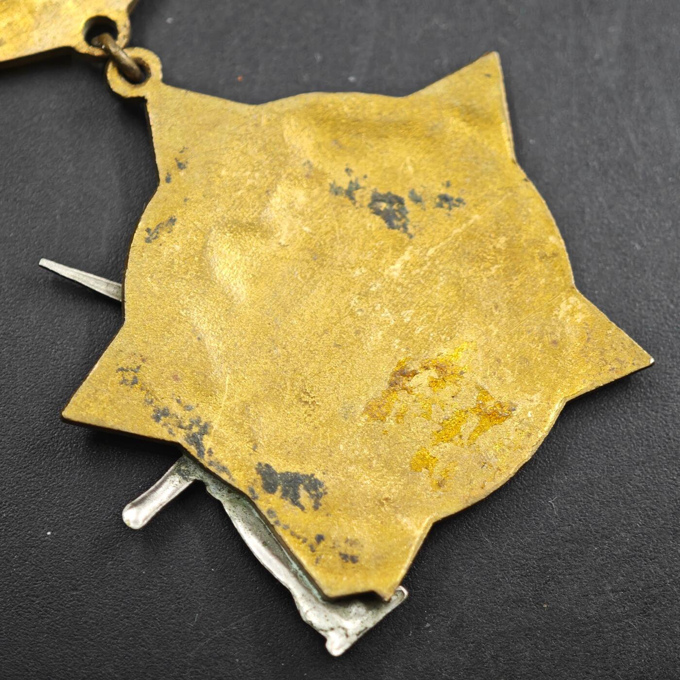 2月新年开工第一场徽章钱币专场 苏联海军河运舰队二战老兵证章铜制珐琅