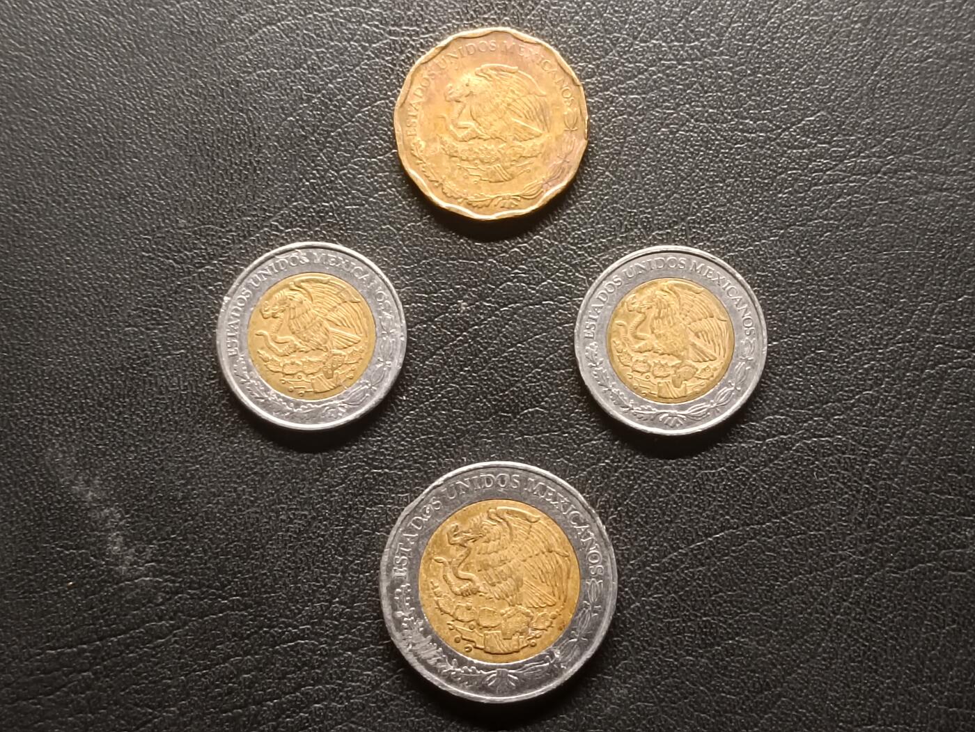 荟藏特别场次第三期——“社长的钢蹦堆”