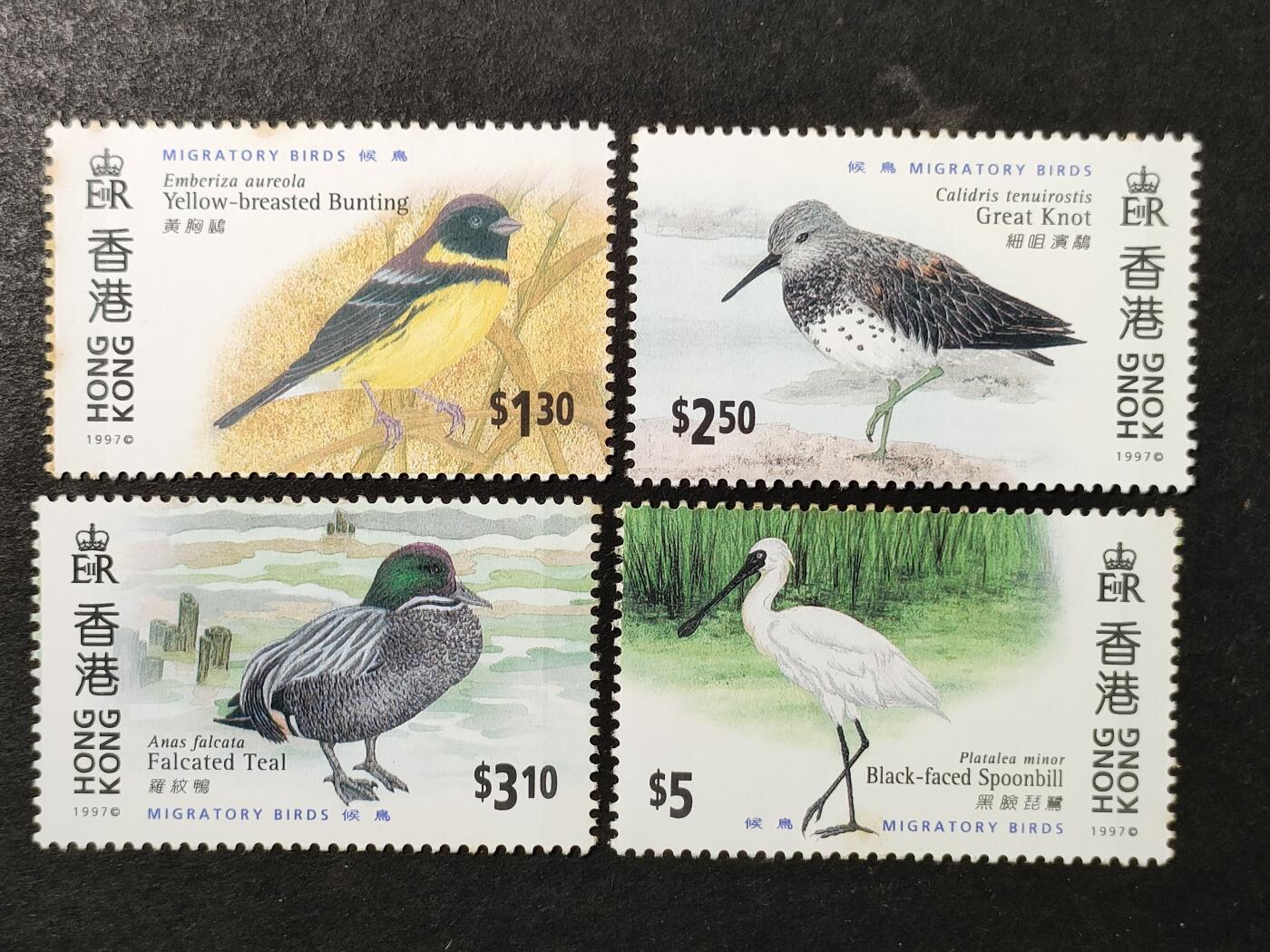 ↓君缘收藏749期☞钱币邮品↓无佣金、可寄存、满30元包邮  香港邮票，1997年鸟类 候鸟邮票4全