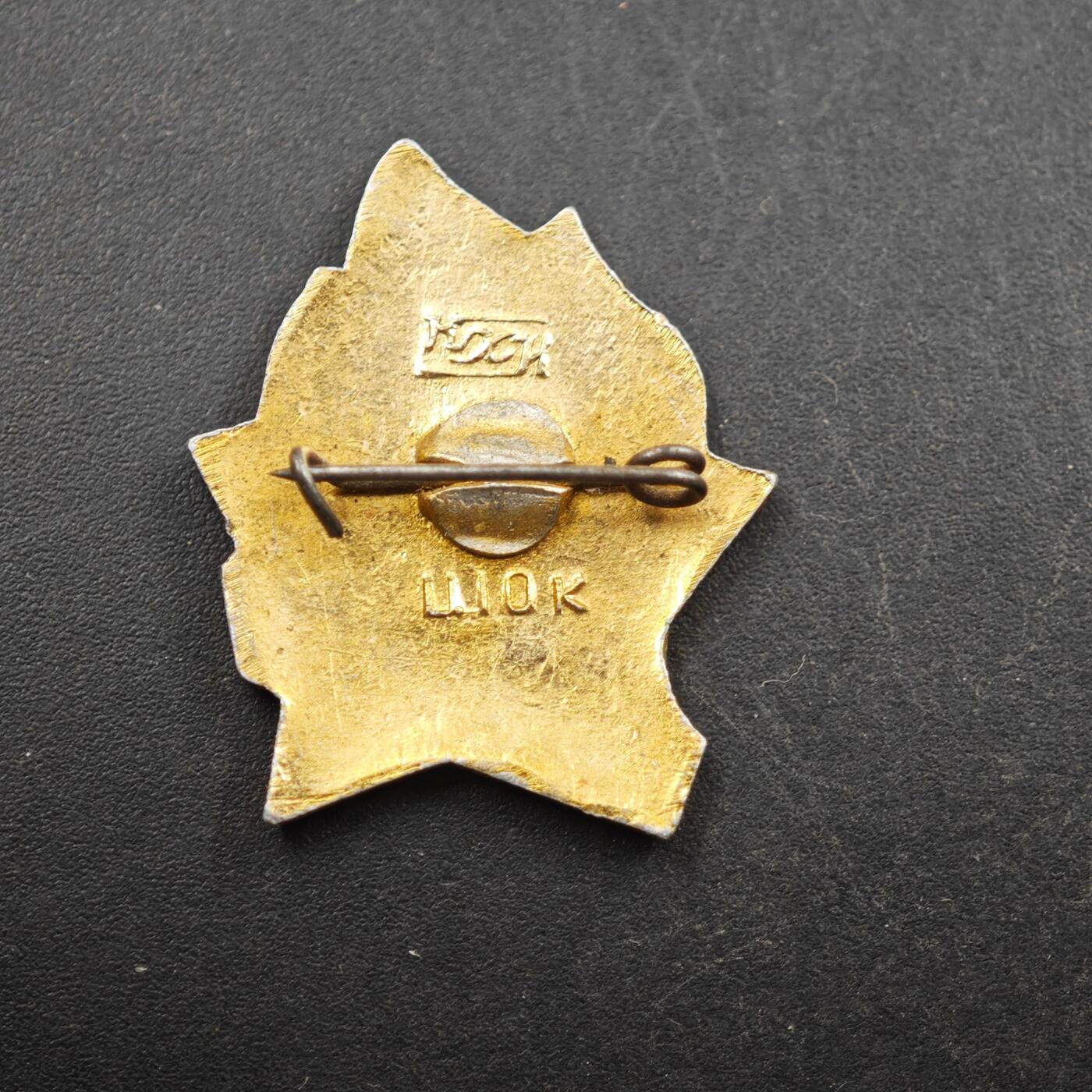 2月新年开工第一场徽章钱币专场 苏联共青团徽章