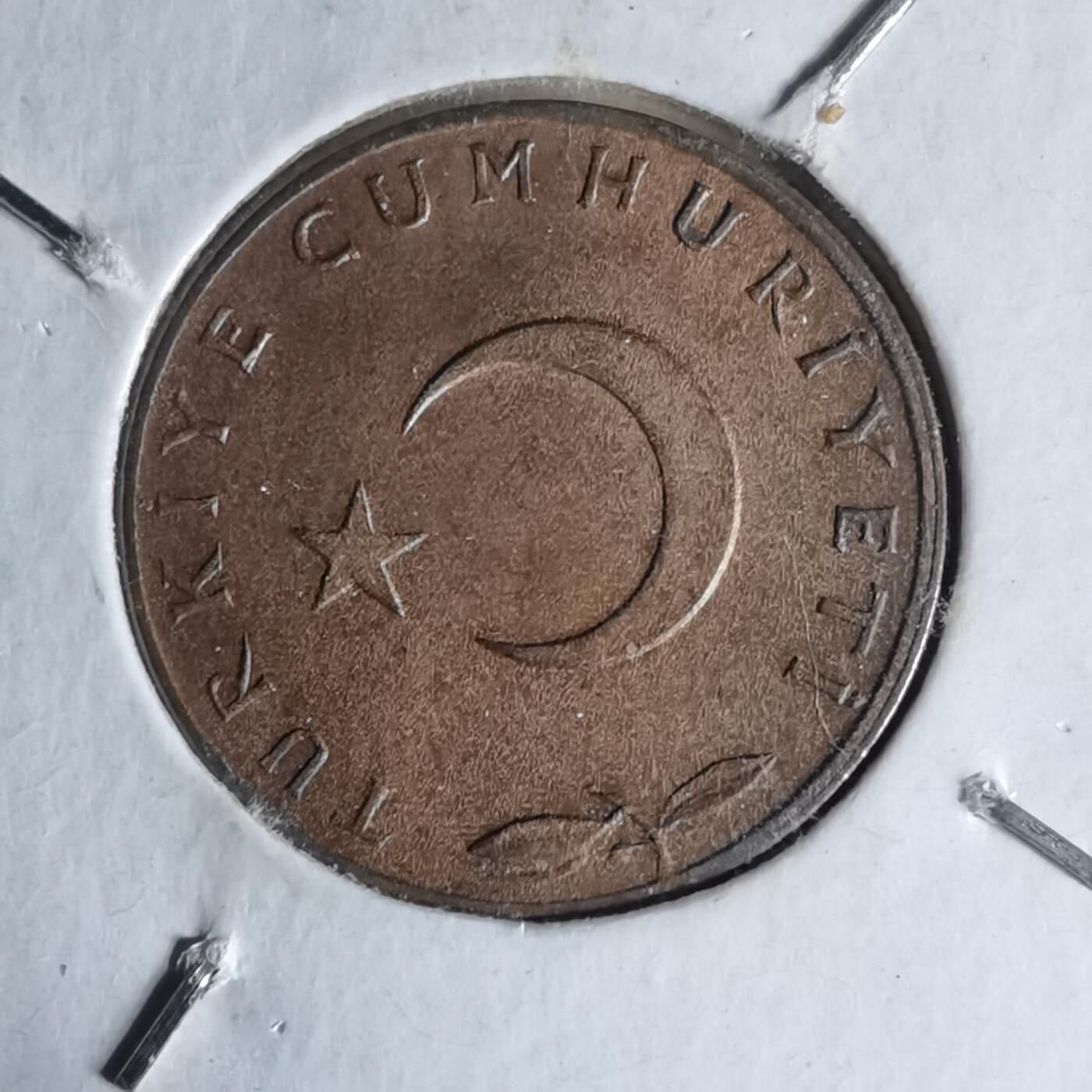 沼泽如烟--第1007场