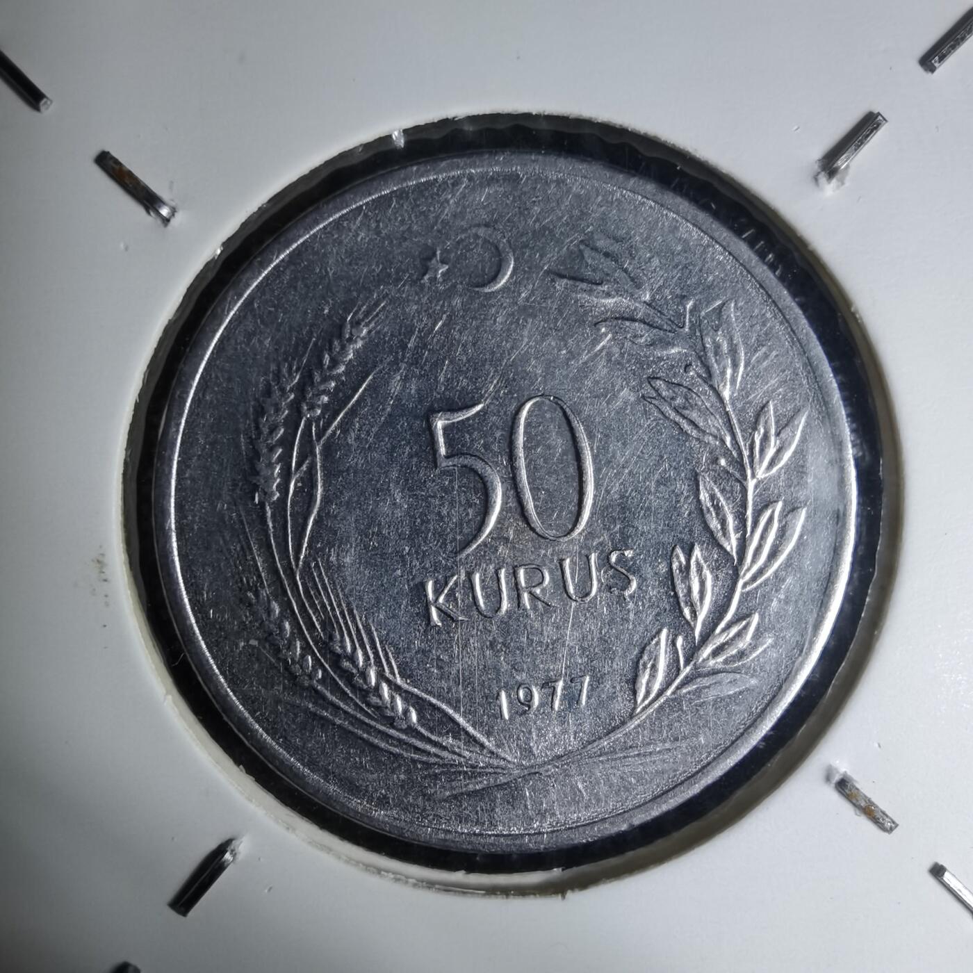 沼泽如烟--第1007场