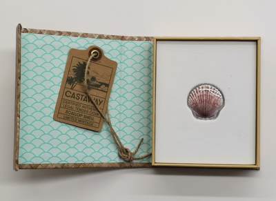 博洋堂世界钱币拍卖第162期（全场包邮） 斐济2019年1元彩色异形精制银币 扇贝 10克999银 发行量：1万 盒证全