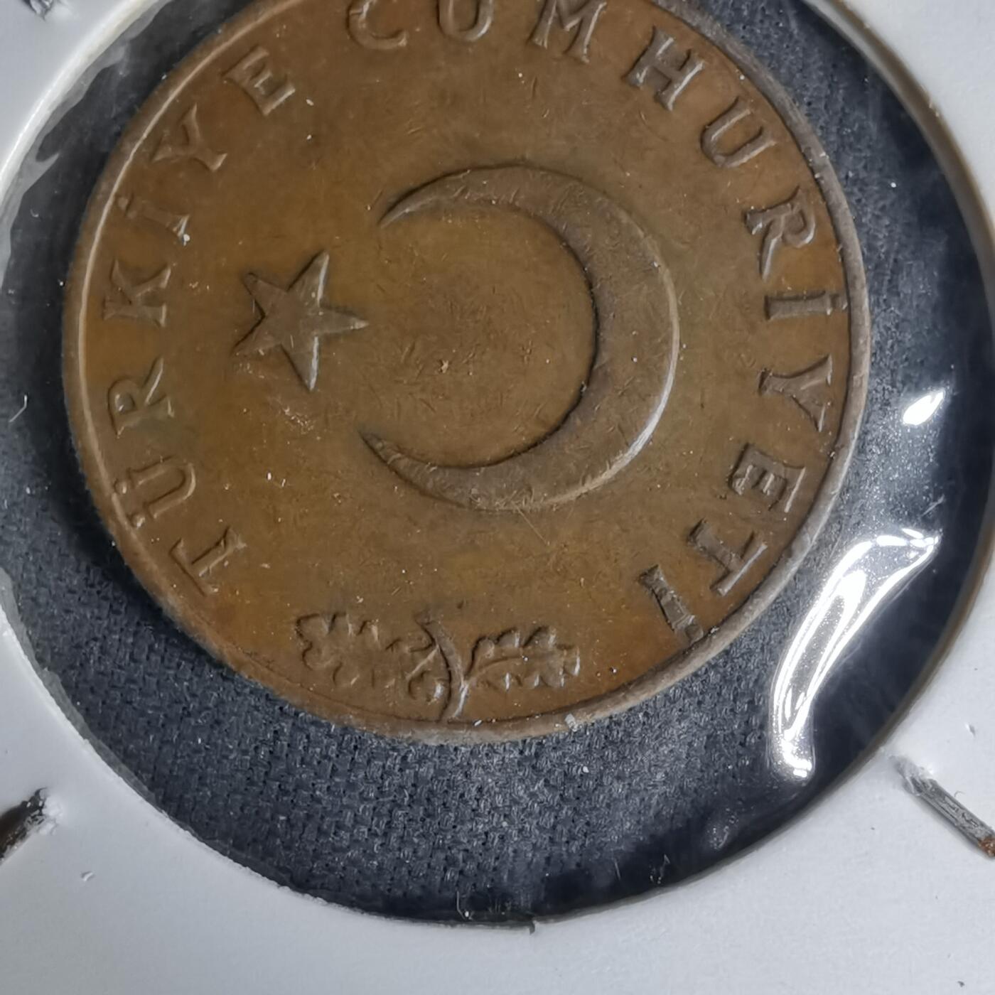 沼泽如烟--第1007场