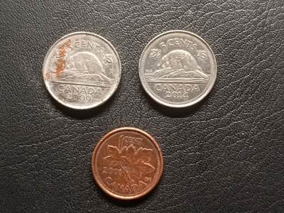 荟藏特别场次第三期——“社长的钢蹦堆” - 加拿大硬币批量三枚