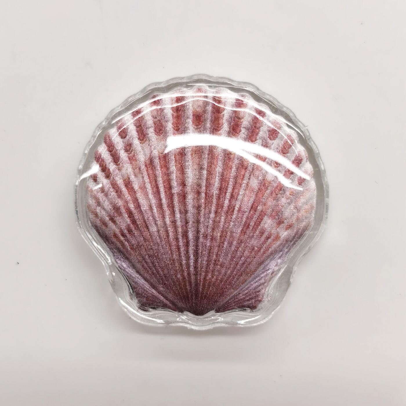 博洋堂世界钱币拍卖第162期（全场包邮） 斐济2019年1元彩色异形精制银币 扇贝 10克999银 发行量：1万 盒证全