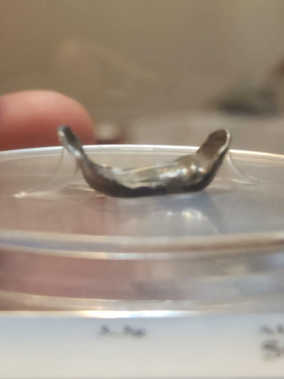 清代小银锭3.3克，公博AU50碎银两，评级币开放式盒子，把玩精品。