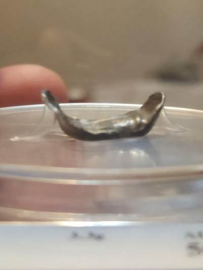 清代小银锭3.3克，公博AU50碎银两，评级币开放式盒子，把玩精品。一口价518元(不议价)