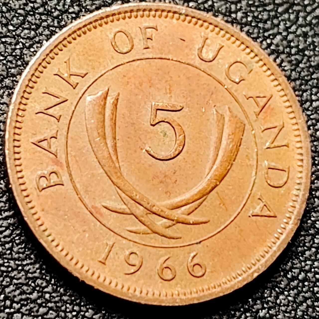 泉币菌-第201场- 新年快乐 新年第9场 本场拍品多 请提前出价（正月十五统一发货） 。