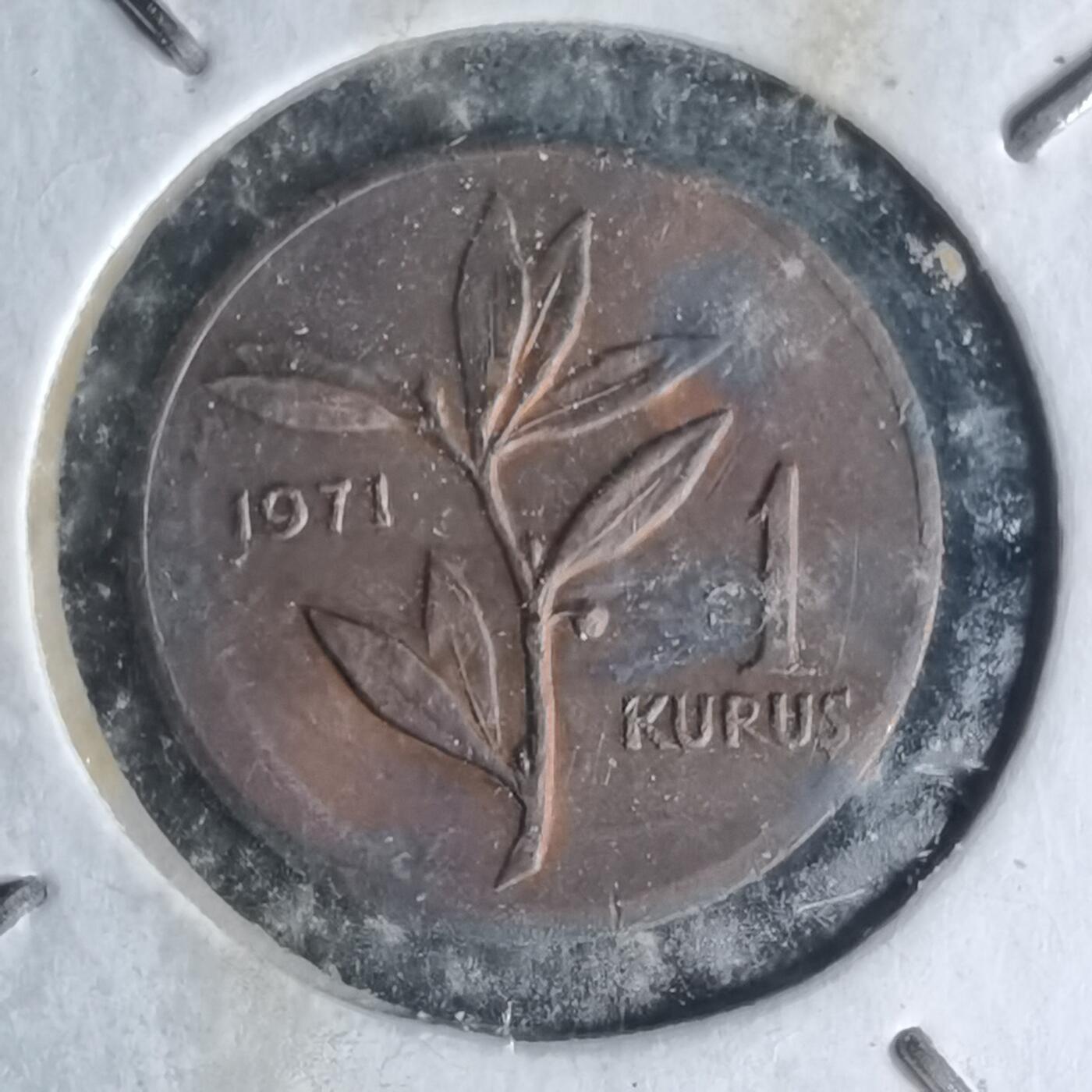 沼泽如烟--第1007场