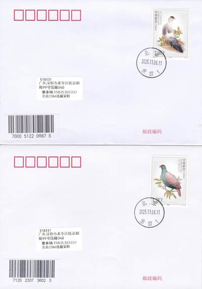 03月05日（周四）20:00 中国大陆2025年与2023年首日实寄封 - 2025中国大陆《中萨建交50周年》一票一封 北京原地首日平寄国内 一套2枚 吴刚作品
