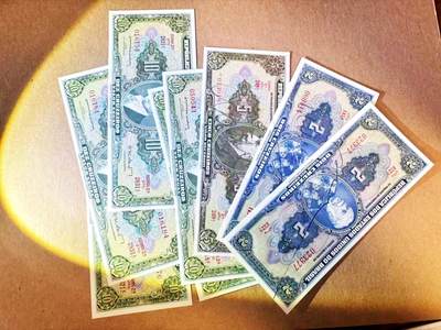 【Blue Auction】世界纸币精拍第788期——18级TOP拍卖/信誉/品质/专业/高效💫 - 【一组8张 含多张手签版】巴西 2-10克鲁塞罗 UNC/UNC-