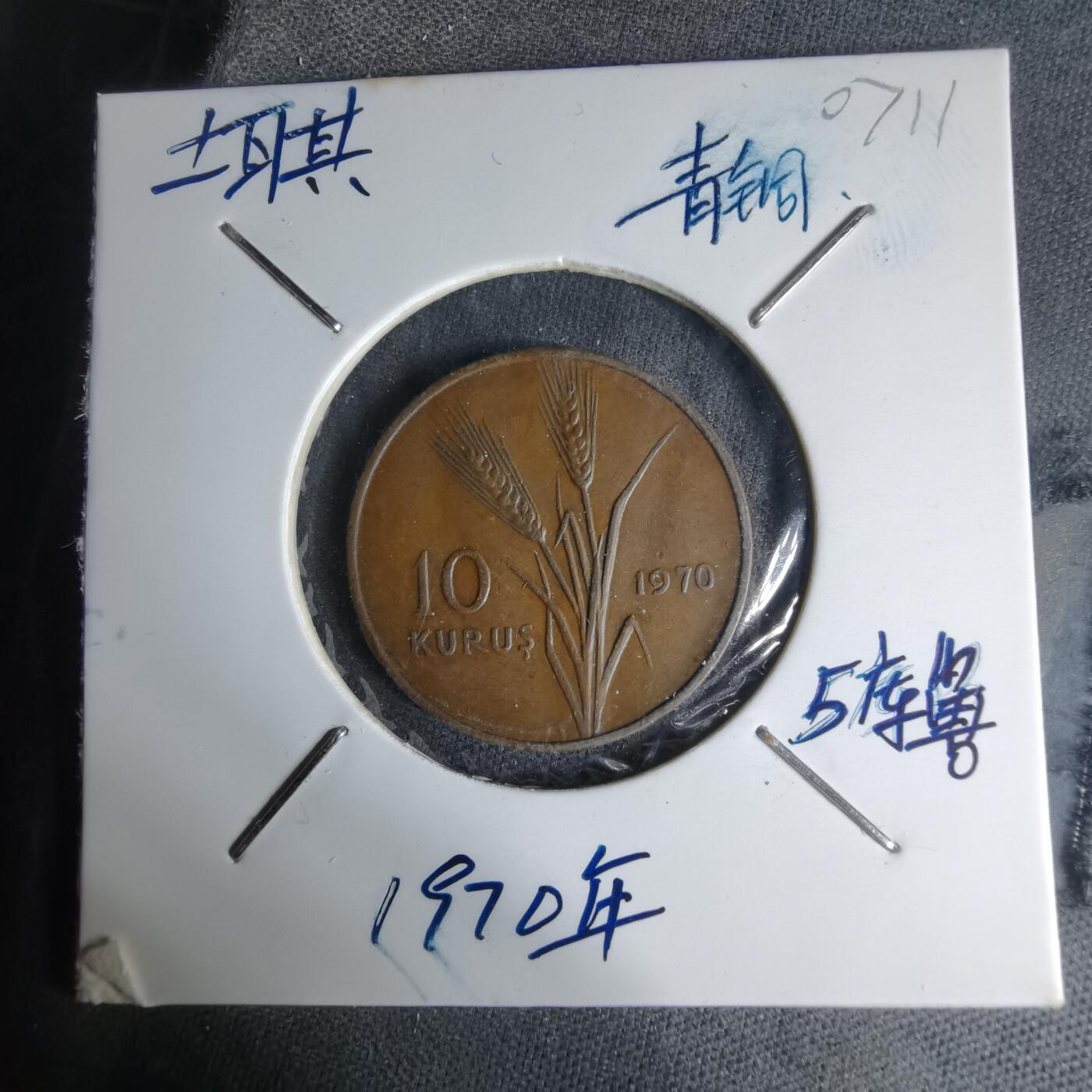 沼泽如烟--第1007场