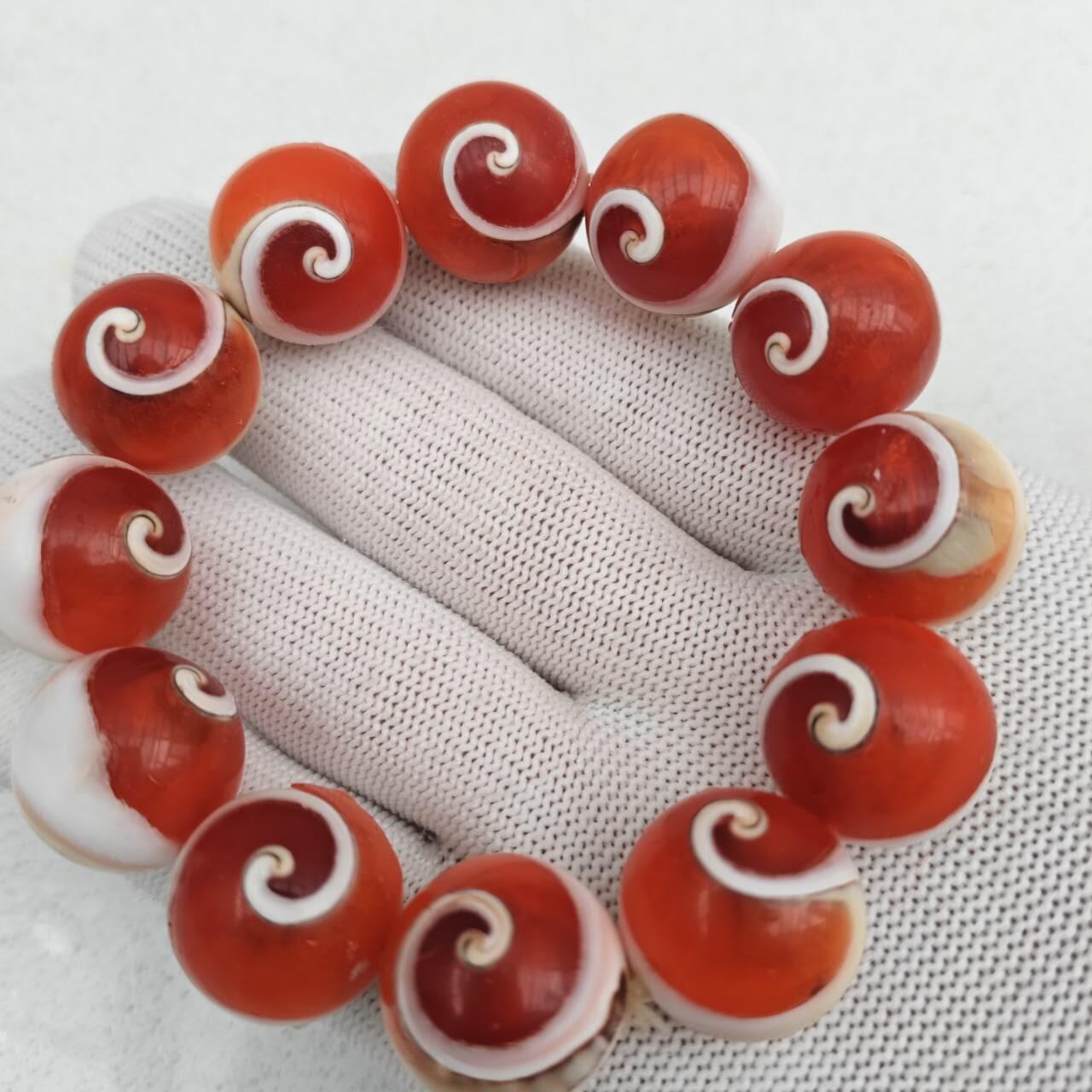 天然海螺贝壳圆珠