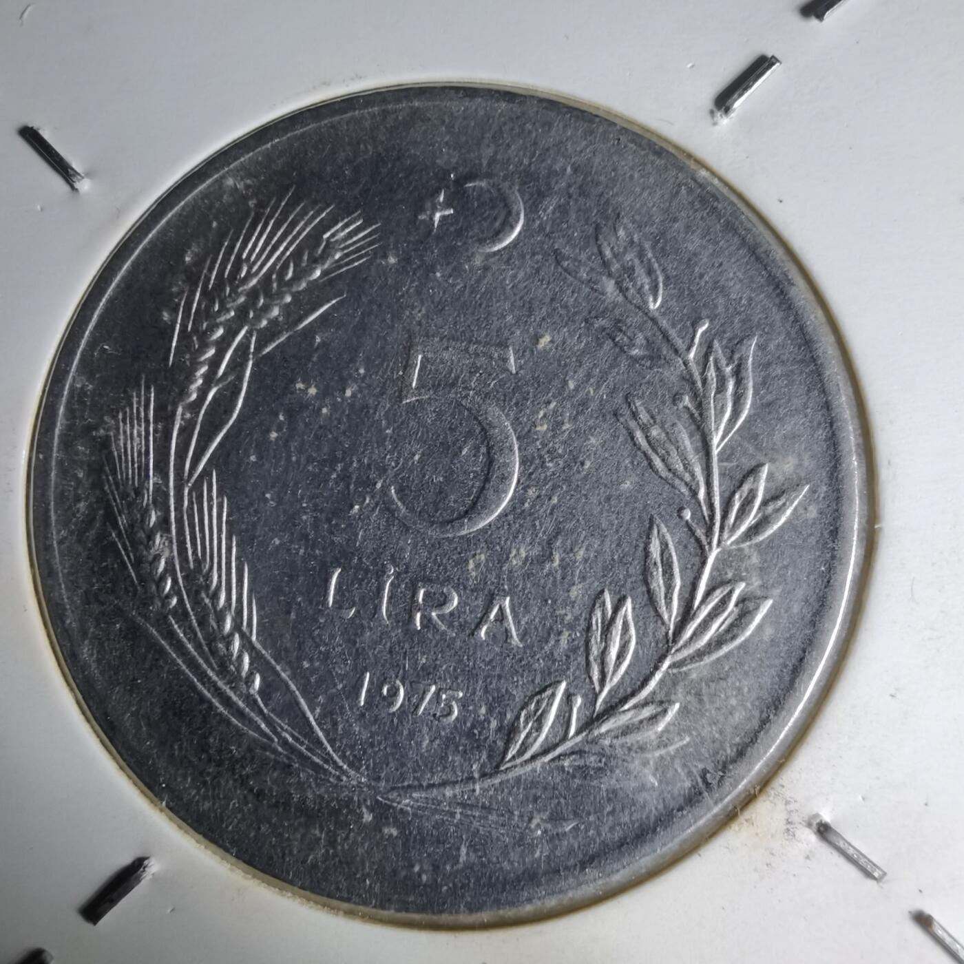 沼泽如烟--第1007场