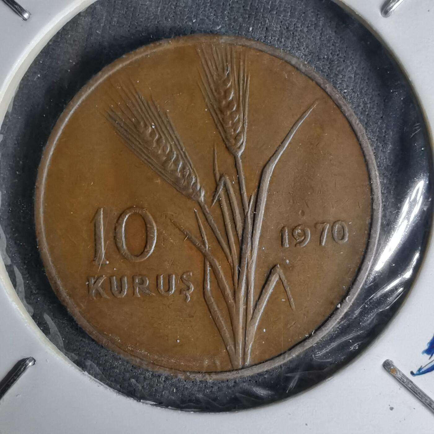 沼泽如烟--第1007场