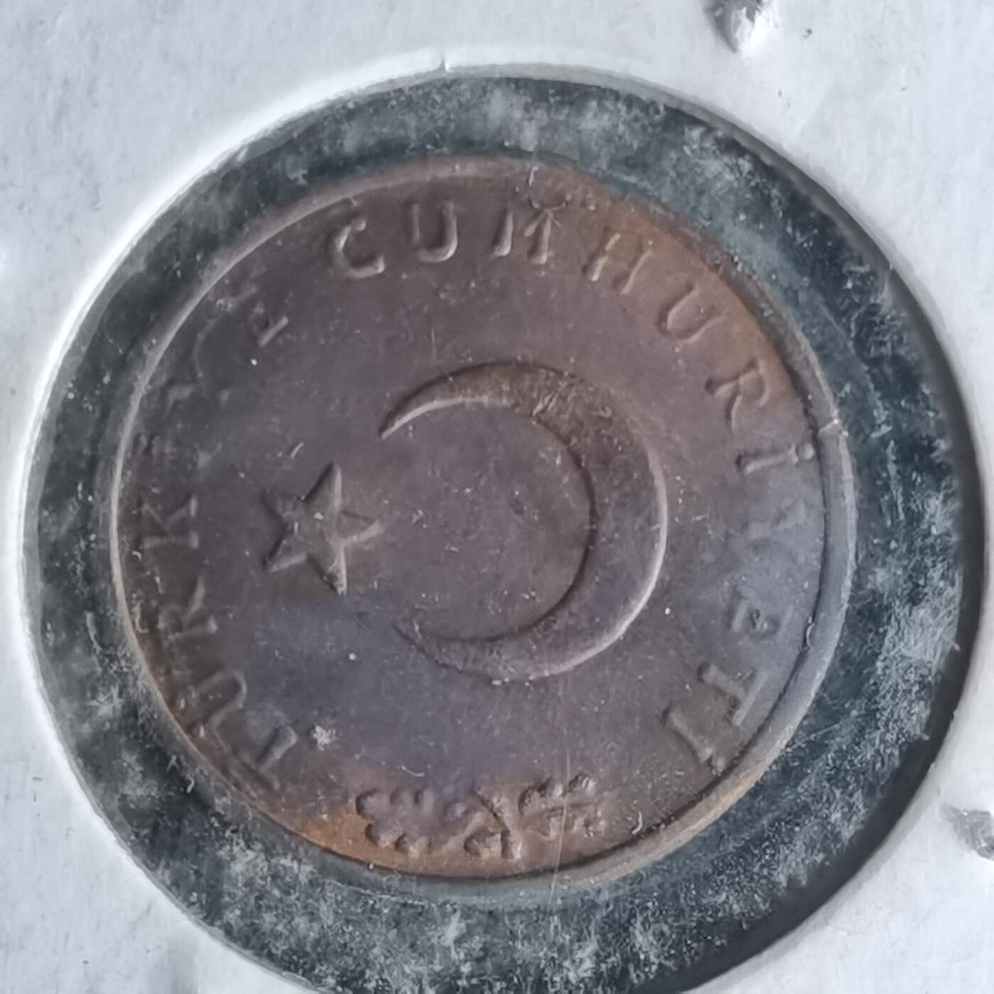 沼泽如烟--第1007场