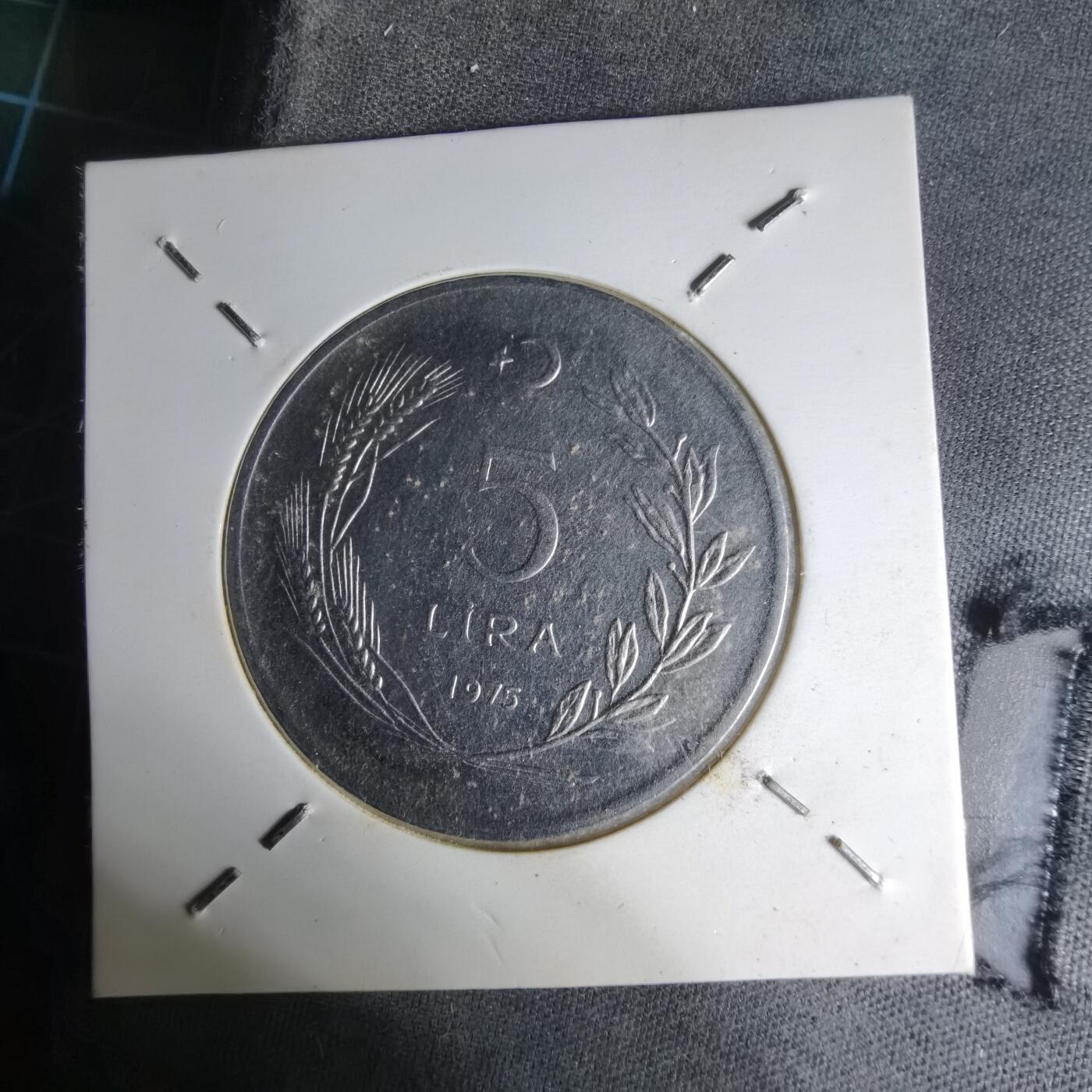 沼泽如烟--第1007场