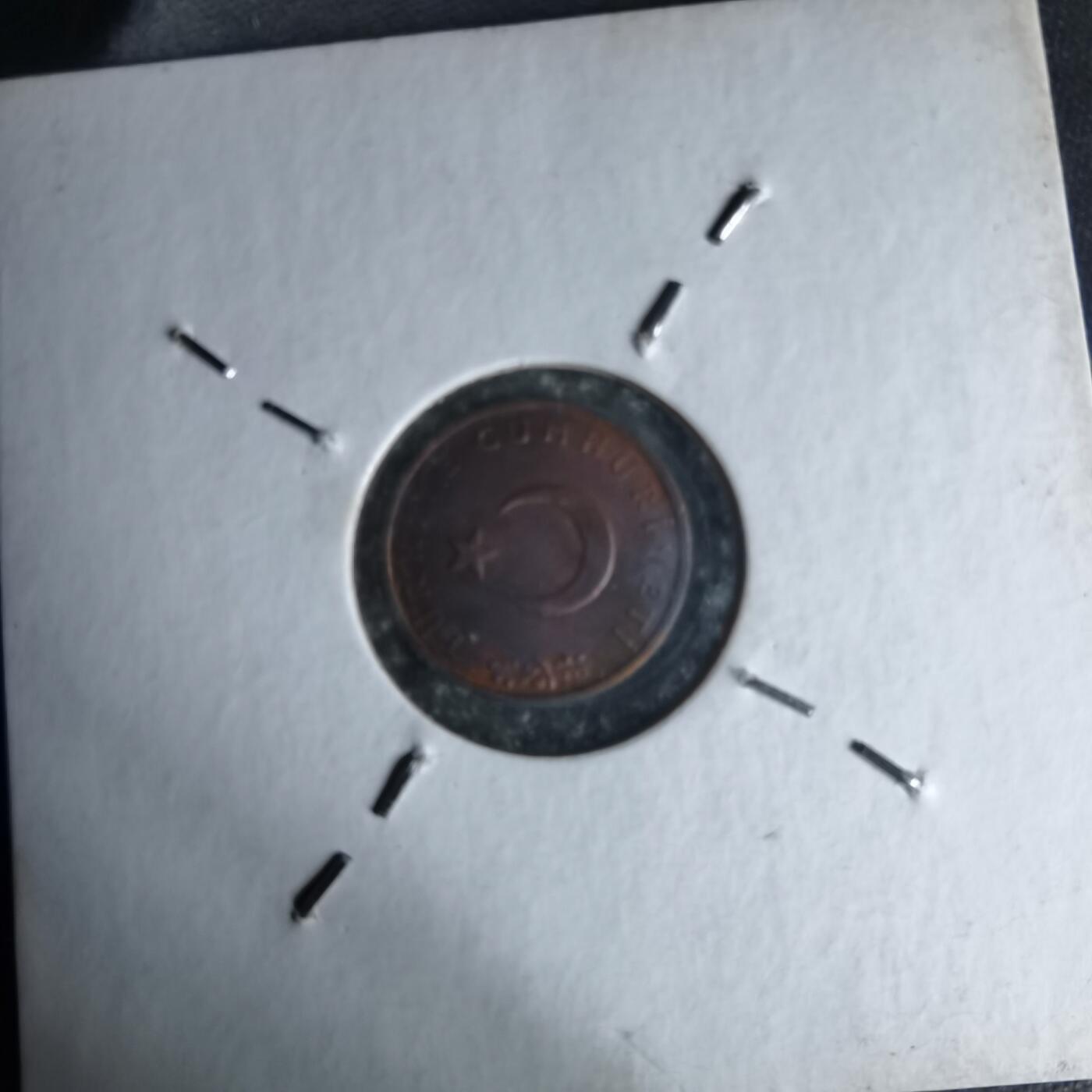 沼泽如烟--第1007场