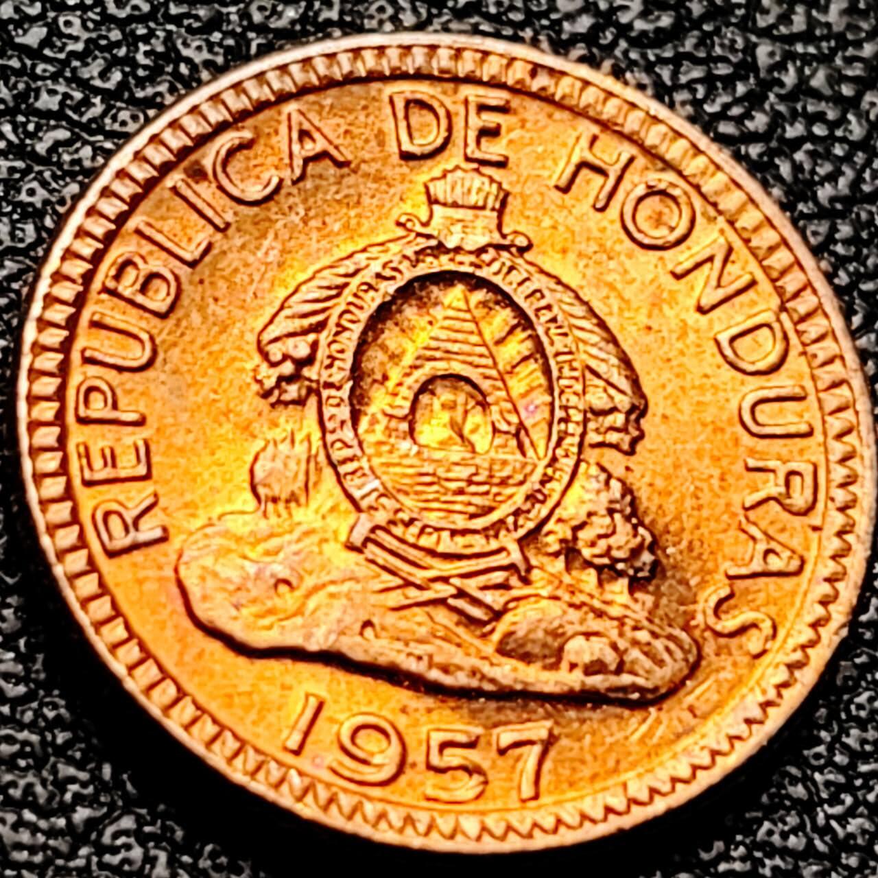 泉币菌-第202场-本场拍品多 请提前出价（正月十五统一发货） 。