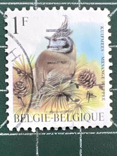 第1126  邮票专场 （无押金，捡漏，全场50包邮，偏远地区除外，接收代拍业务，本店十天发一次货） - 比利时邮票