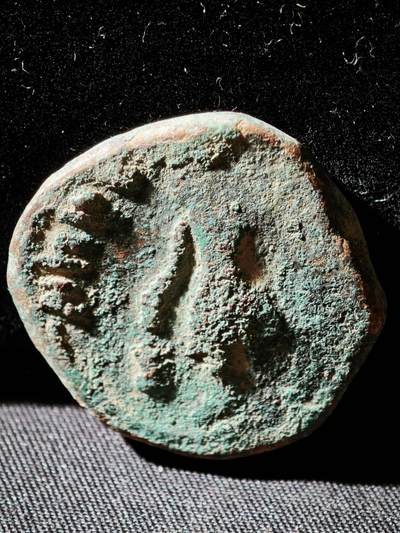 118期新疆红钱粟特钱币丝路钱币专场 - C贵霜王朝铜币