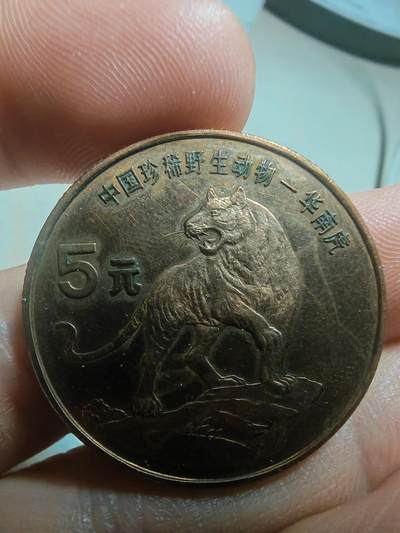 野生动物币华南虎一枚 - 野生动物币华南虎一枚