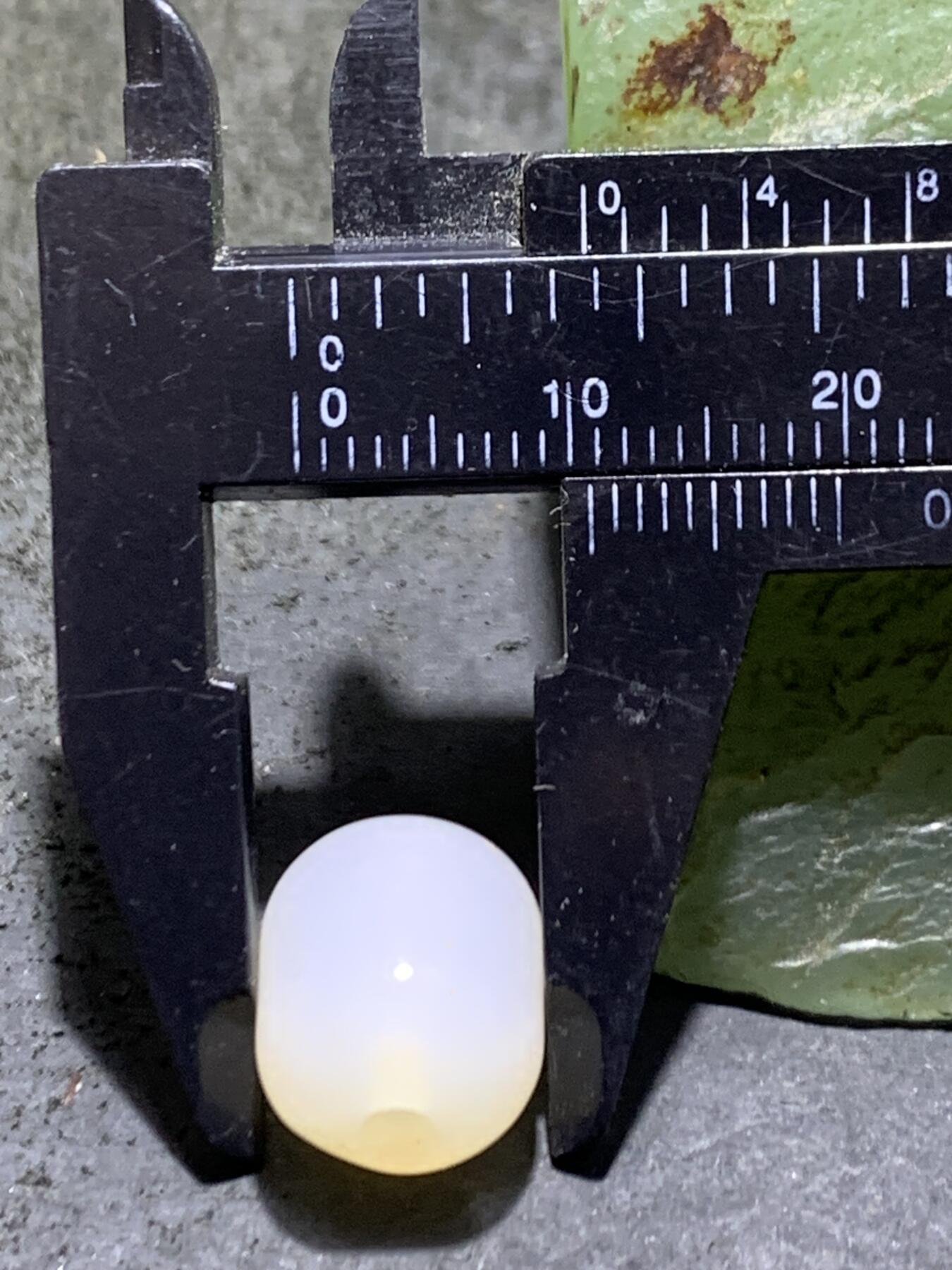 荔枝冻通货随形桶珠一颗，