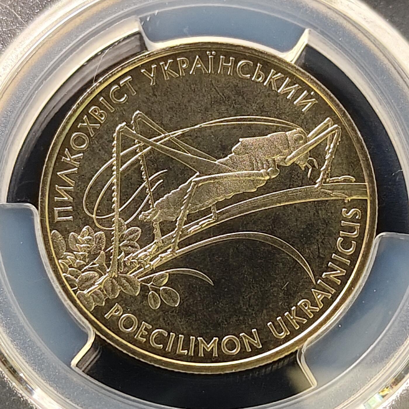 【全场包邮】纯粹捡漏拍507场-持续更新中