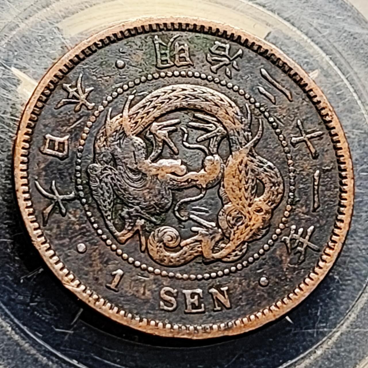 泉币菌-第202场-本场拍品多 请提前出价（正月十五统一发货） 熟美品 