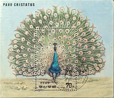 ↓君缘收藏749期☞钱币邮品↓无佣金、可寄存、满30元包邮  - 朝鲜邮票，1990年孔雀开屏邮票小型张