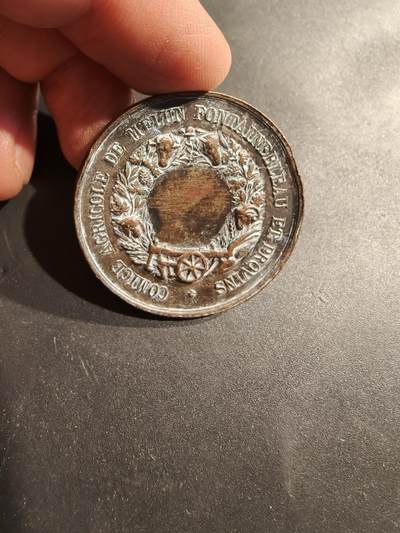 老王徽章第185期 - 法国地方农业委员会单面大铜章     直径36mm    重量15.9g