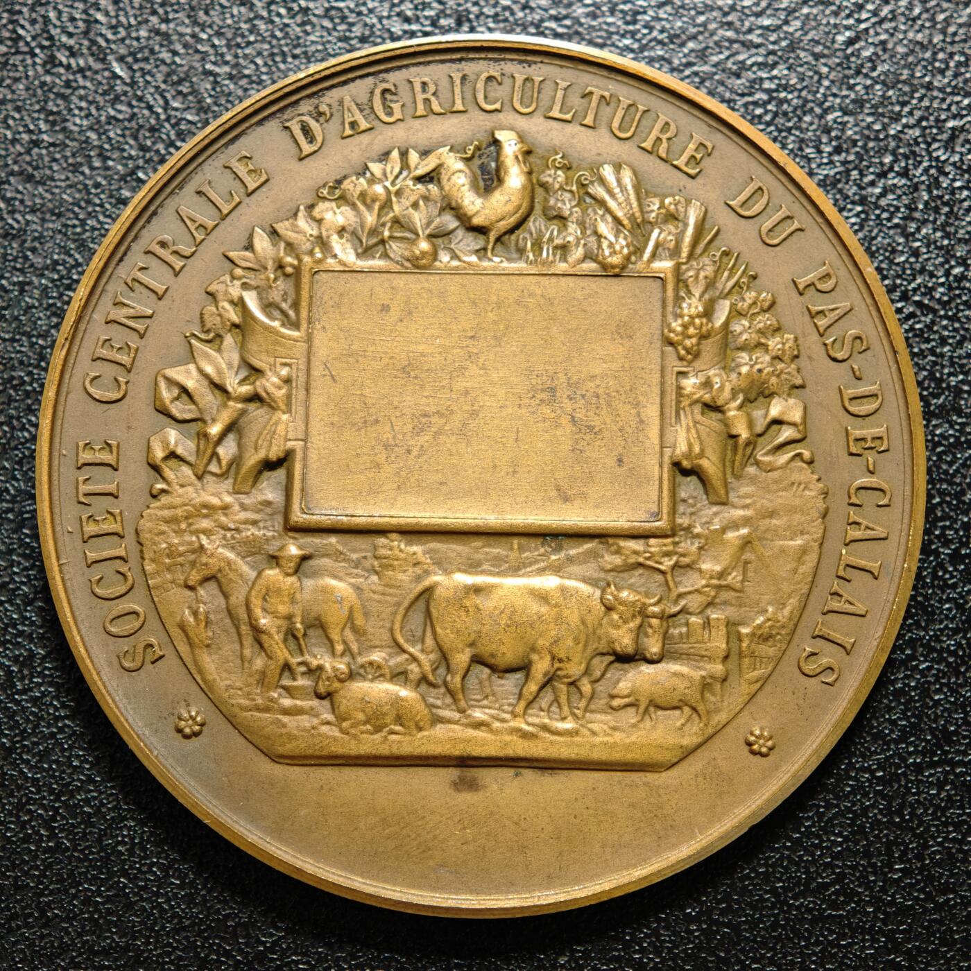 【德藏】世界币章拍卖第166期（拍品征集中~欢迎藏友联系） 20世纪初 法国加来海峡中央农业协会奖章纪念铜章 直径约：46.7mm；重约：36.1g