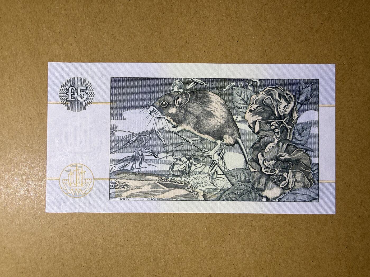 《艾美收藏》第234期-3.1周日外币精华场 苏格兰5镑 UNC 2002年 克莱斯戴尔银行 无4