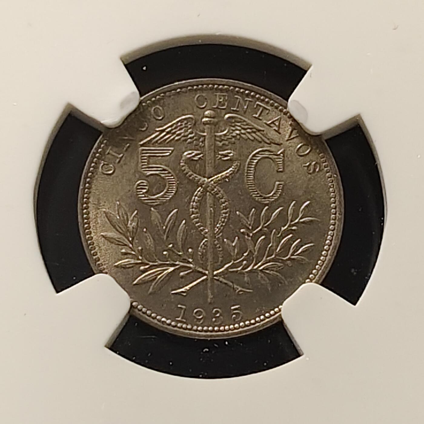 【全场包邮】纯粹捡漏拍507场-持续更新中