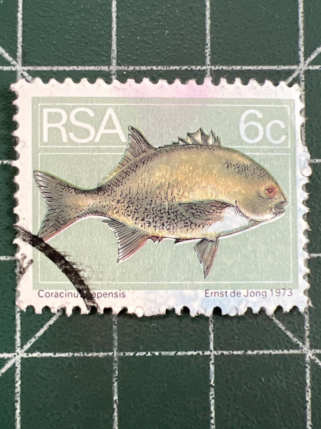 第1126  邮票专场 （无押金，捡漏，全场50包邮，偏远地区除外，接收代拍业务，本店十天发一次货） 南非邮票