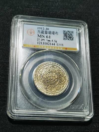 天下钱庄专场欢迎参拍 - 西藏章噶银币